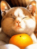 anim240320mobildesign.atw.hu_0227.gif